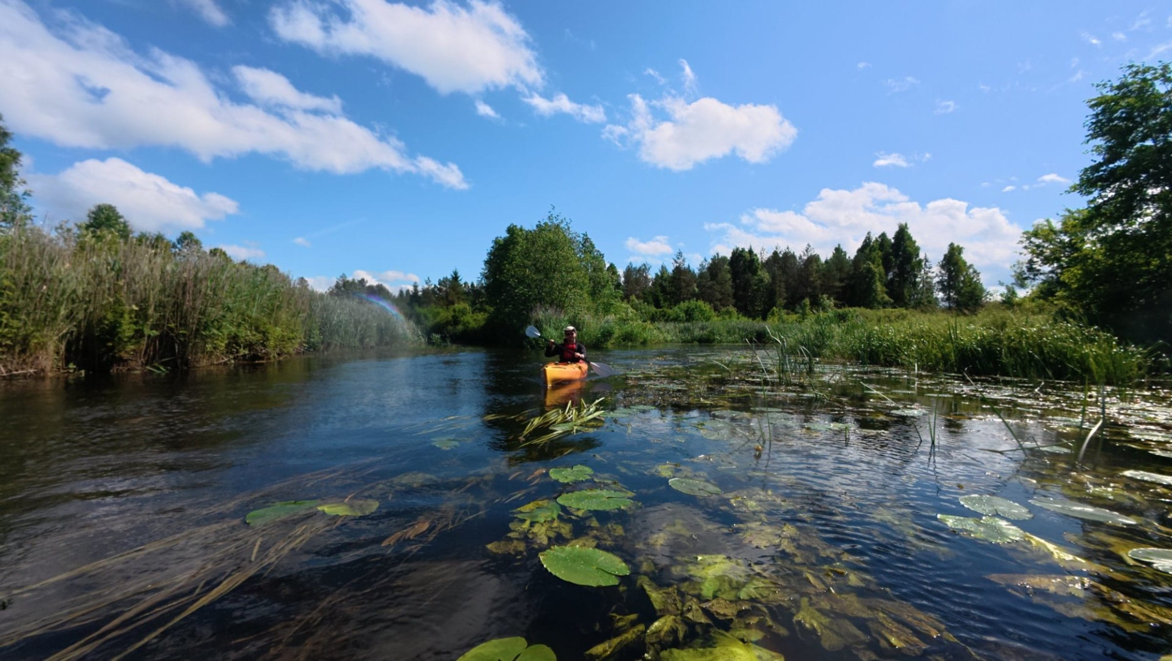 Otsimas Endla Järve