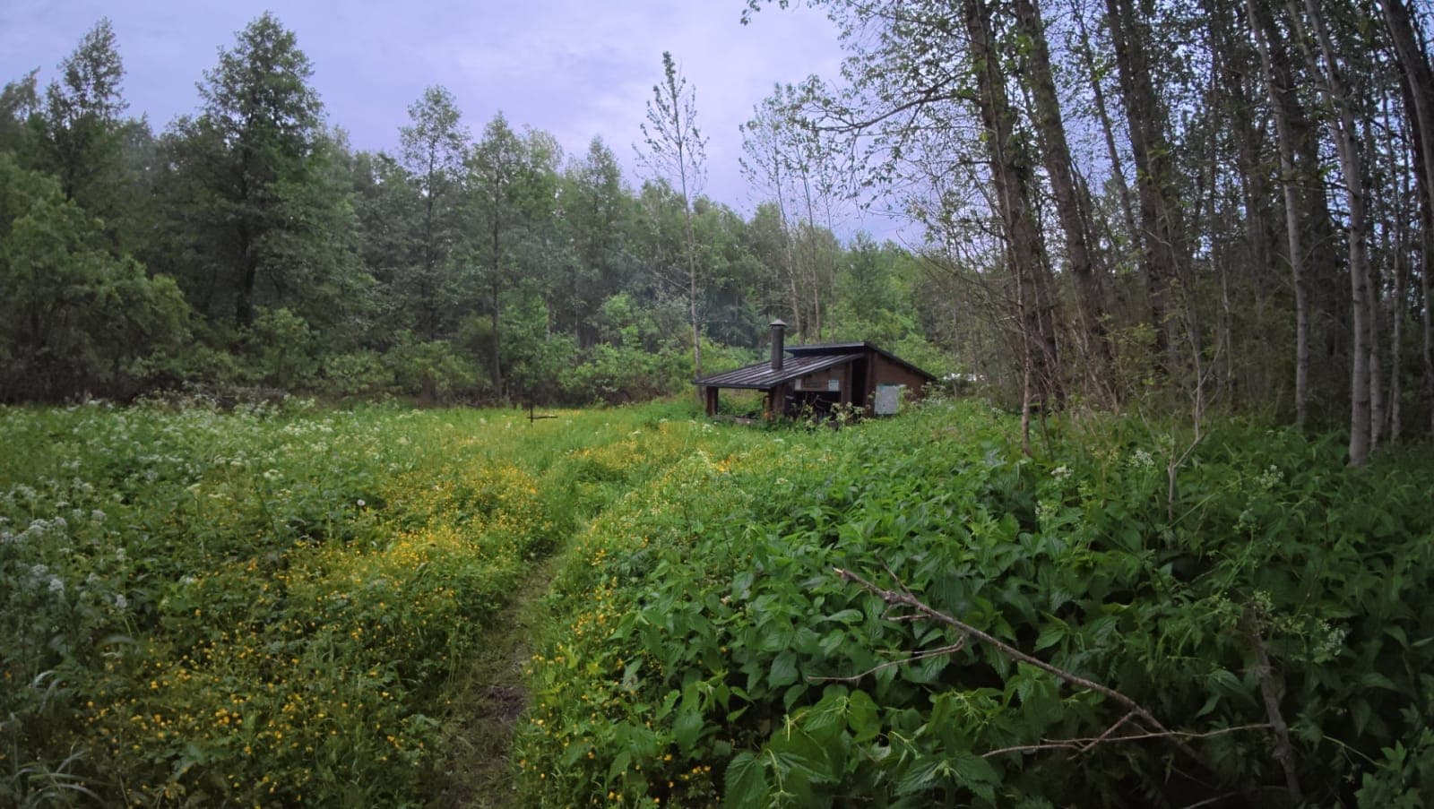 Koosa forest shelter interior