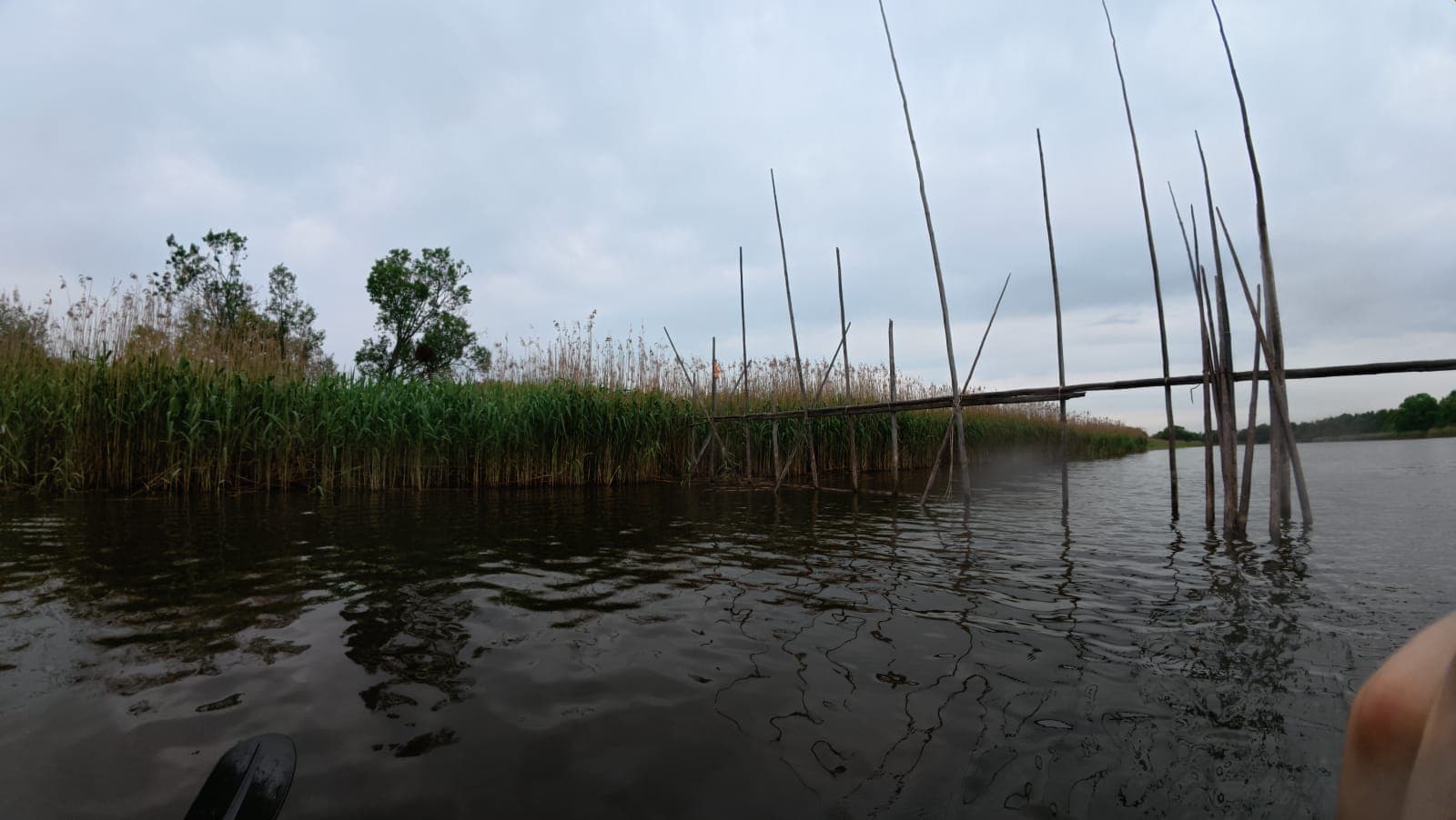 Emajõe Suursoo: A Kayak Expedition Through Estonia's Largest Bog