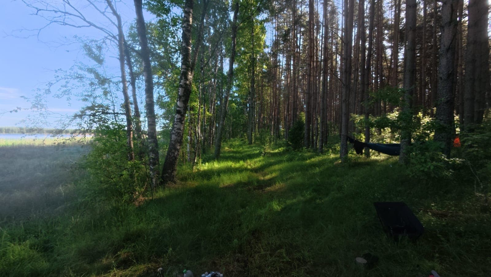 Camp at Leego lake in the pine forest