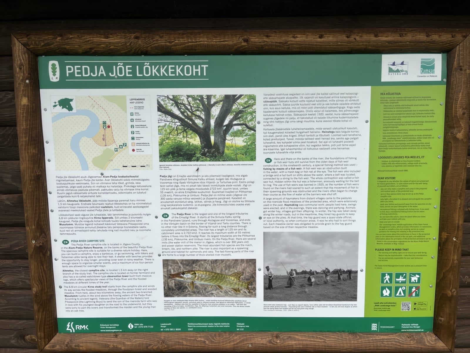 Pedja River — photo 6