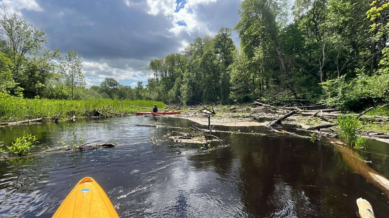 Pedja River — photo 8