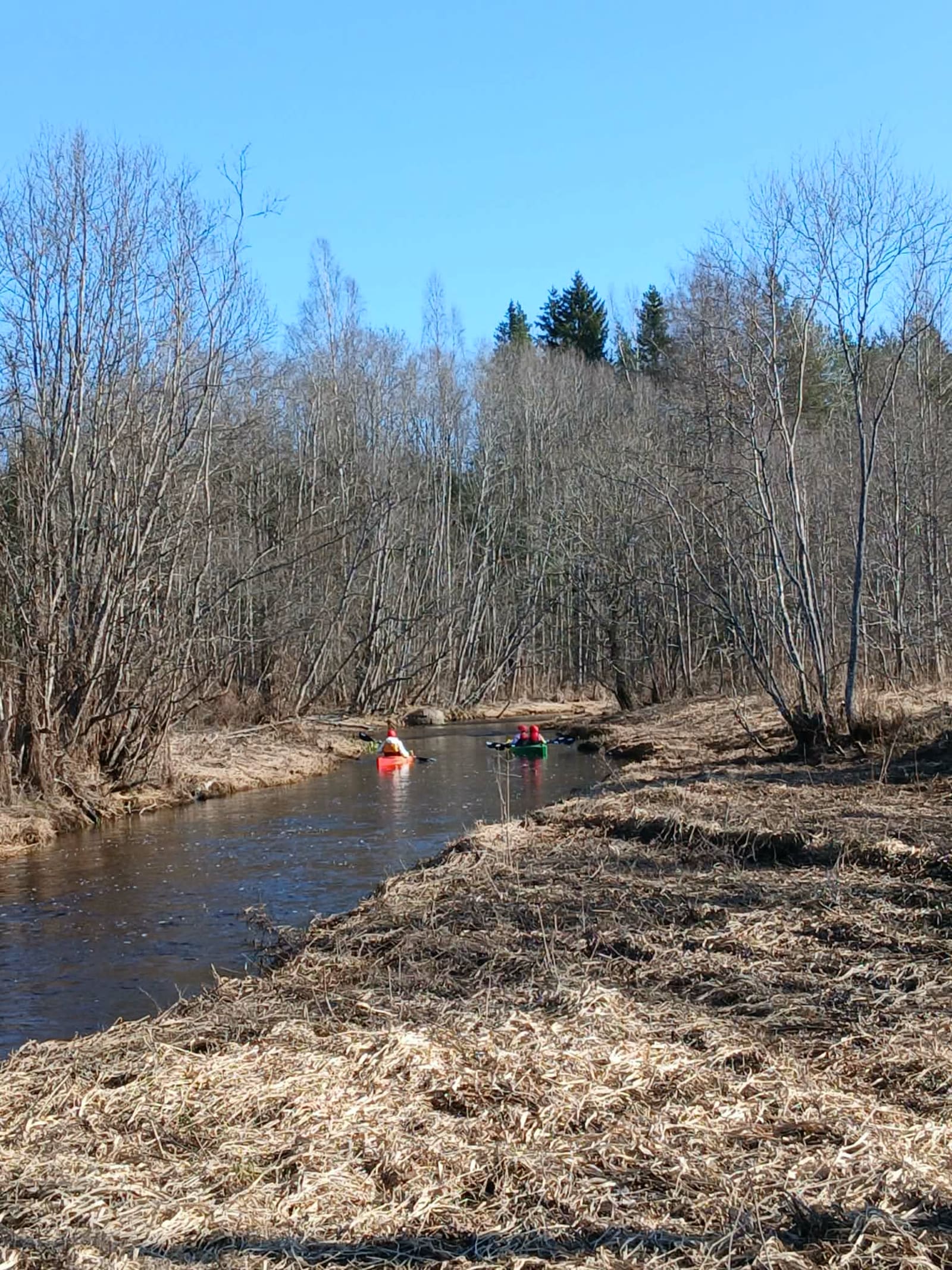 Avi River — photo 2