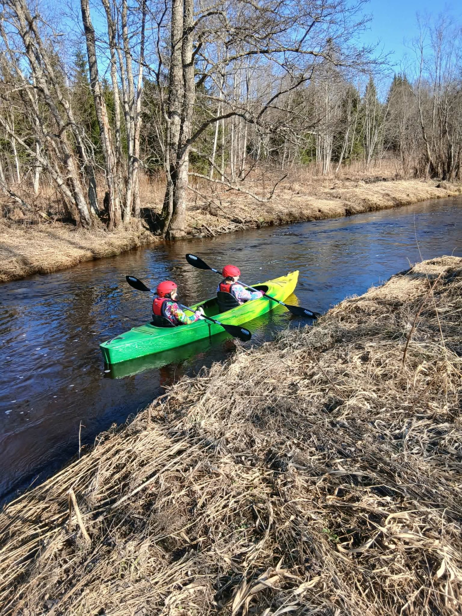 Avi River — photo 4