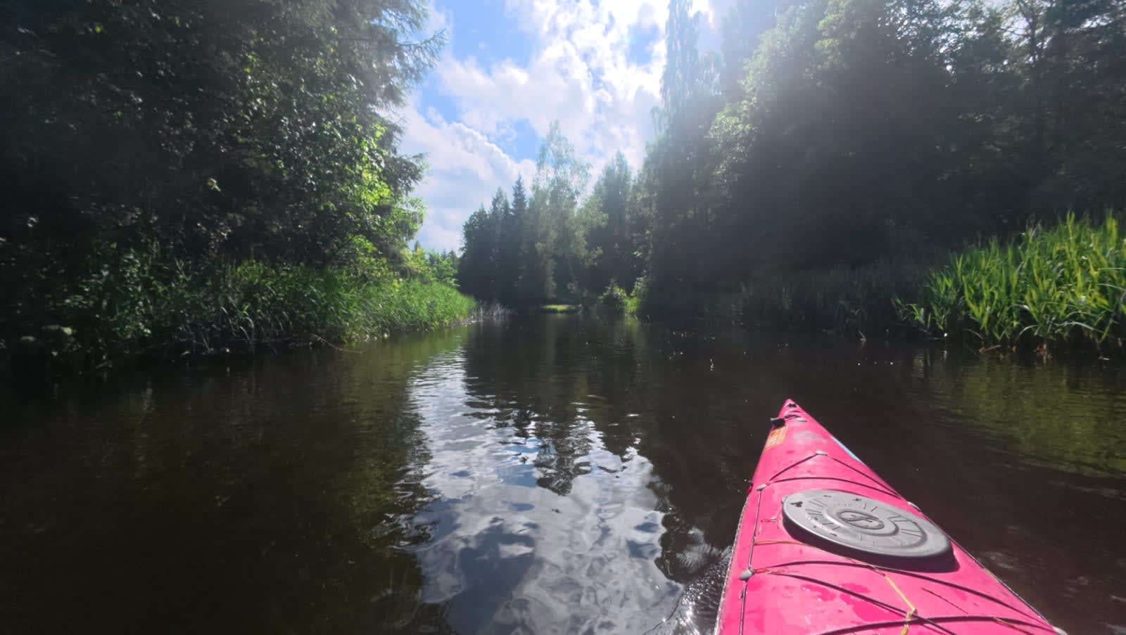 Otsimas Endla Järve — galeriipilt 9