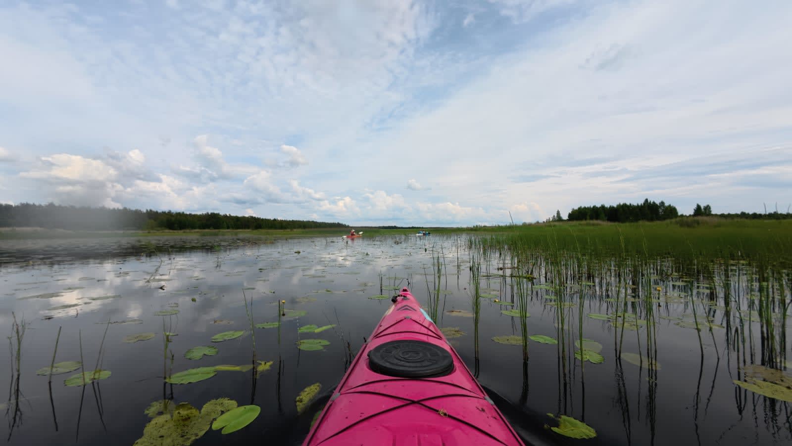 Otsimas Endla Järve — galeriipilt 3