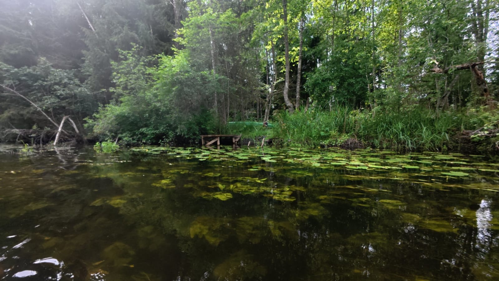 Põltsamaa jõgi — foto 2