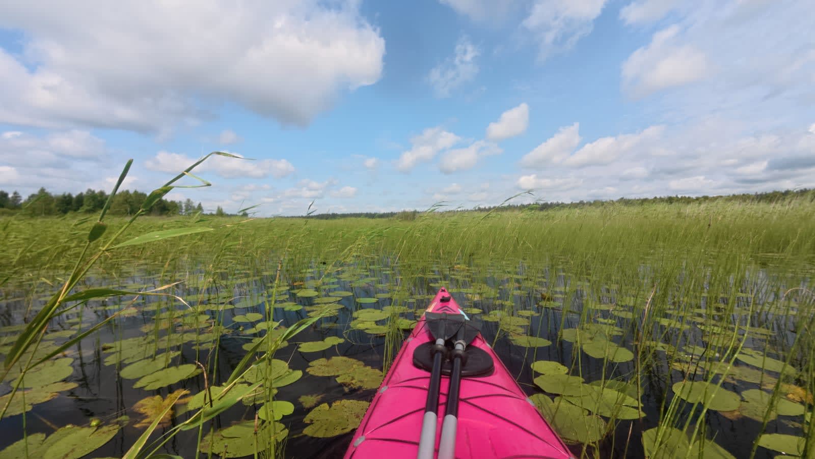 Otsimas Endla Järve — toimunud matka pilt 6