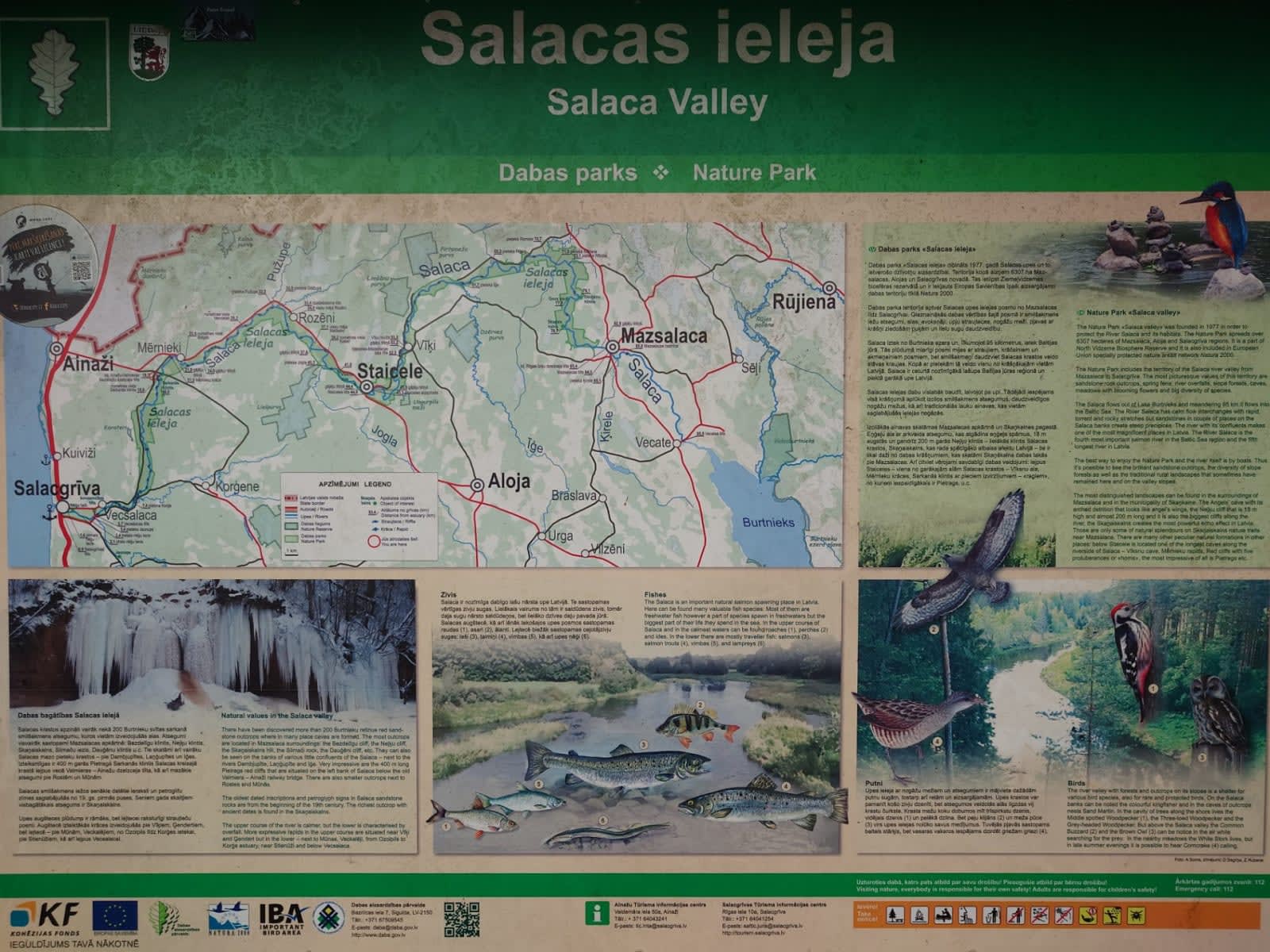 Salaca (Salatsi) River — photo 5