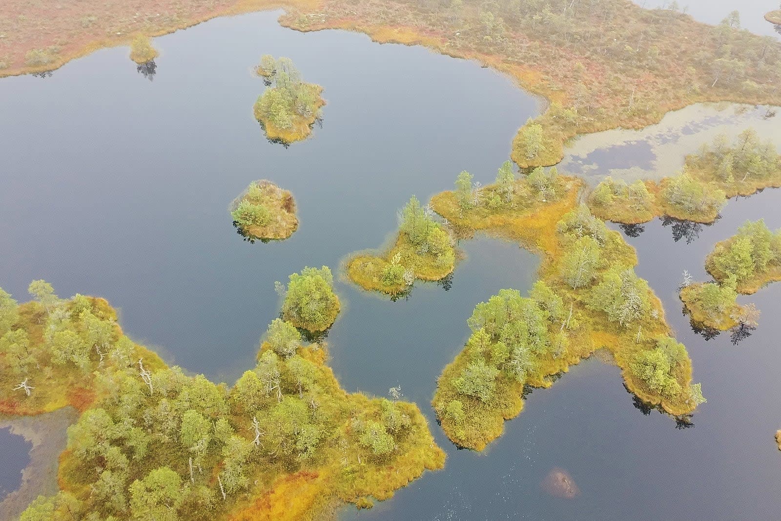 Kakerdaja Bog — photo 2