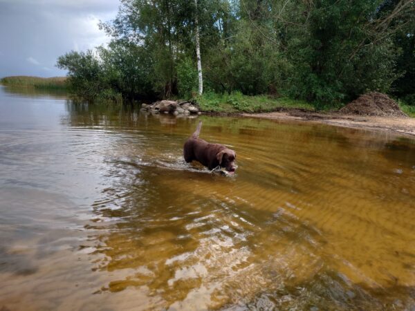 Vee peal ja saarel – Piirissaare matk - Image 3